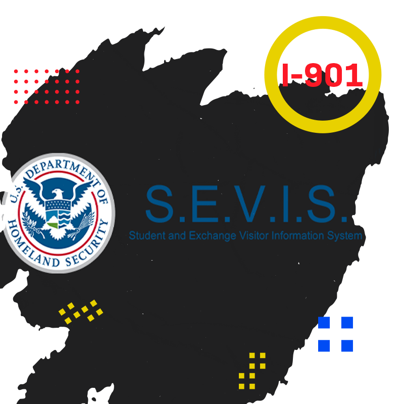 Sevis I-901 Nedir? 