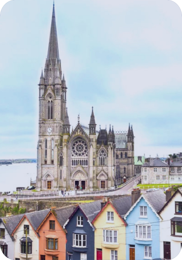 İrlanda'da Üniversite