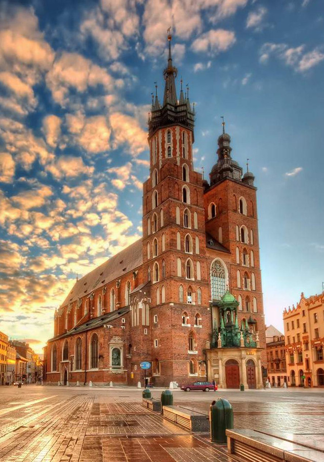 Polonya'da Üniversite