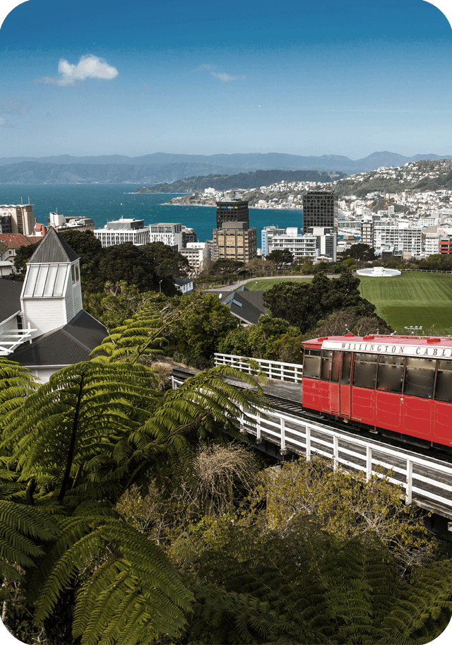 Yeni Zelanda Dil Okulları